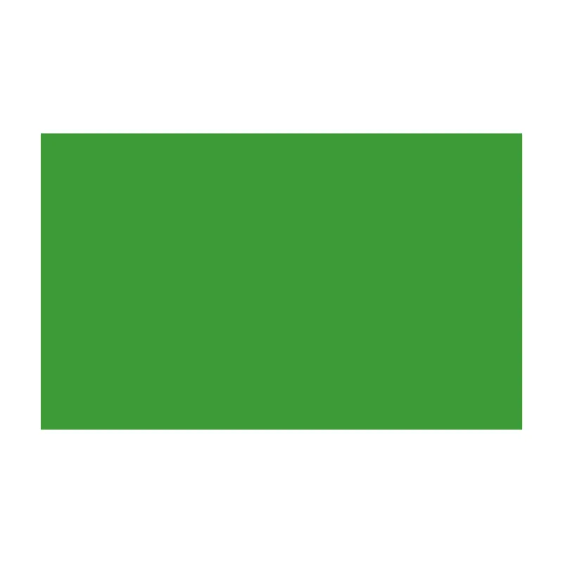 BD FOND STUDIO PAPIER 1.36X11M VERI GREEN 132A2