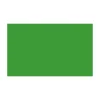 BD FOND STUDIO PAPIER 2.18X11M VERI GREEN - Panajou
