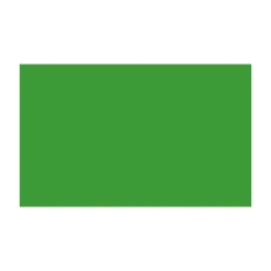 BD FOND STUDIO PAPIER 2.18X11M VERI GREEN - Panajou