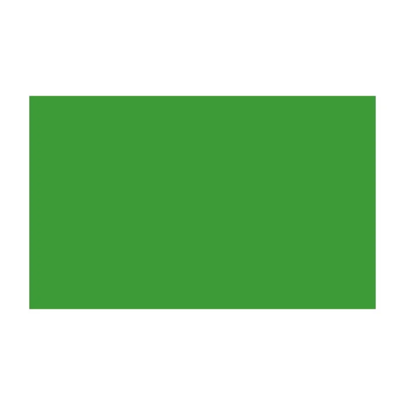 BD FOND STUDIO PAPIER 2.18X11M VERI GREEN - Panajou