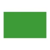 BD FOND STUDIO PAPIER 2,72X11M VERI GREEN 132A1