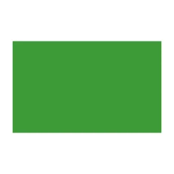 BD FOND STUDIO PAPIER 2,72X11M VERI GREEN 132A1