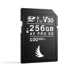 Angelbird Carte mémoire SD 256 Gb AV PRO V30 - Capturez vos moments avec clarté
