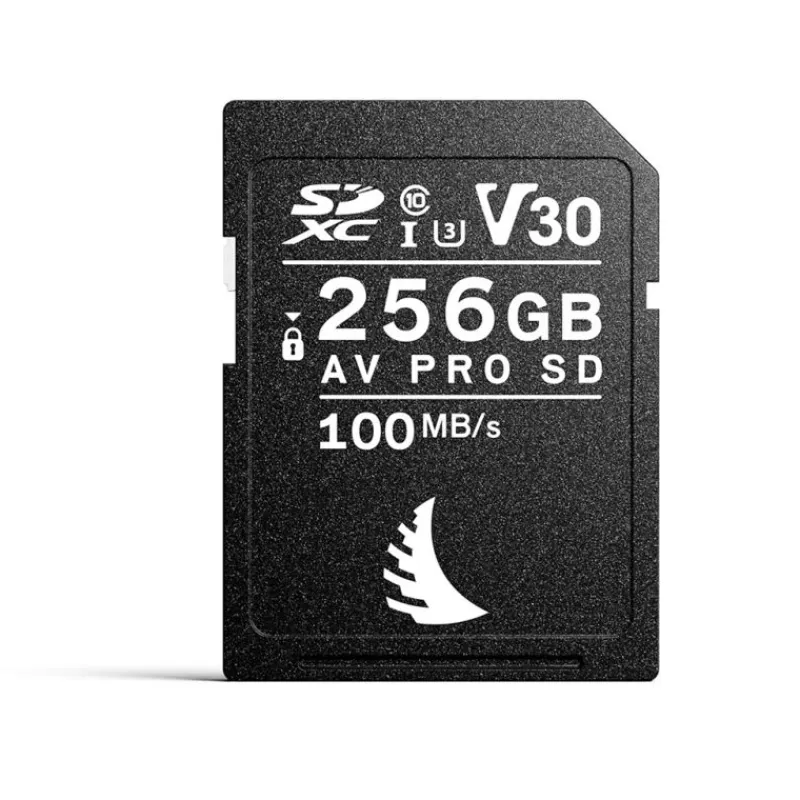 Angelbird Carte mémoire SD 256 Gb AV PRO V30 - Capturez vos moments avec clarté