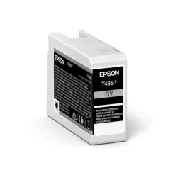 Epson ENCRE T46S7 GRAY P700