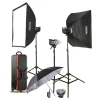 GODOX MS300-D Kit