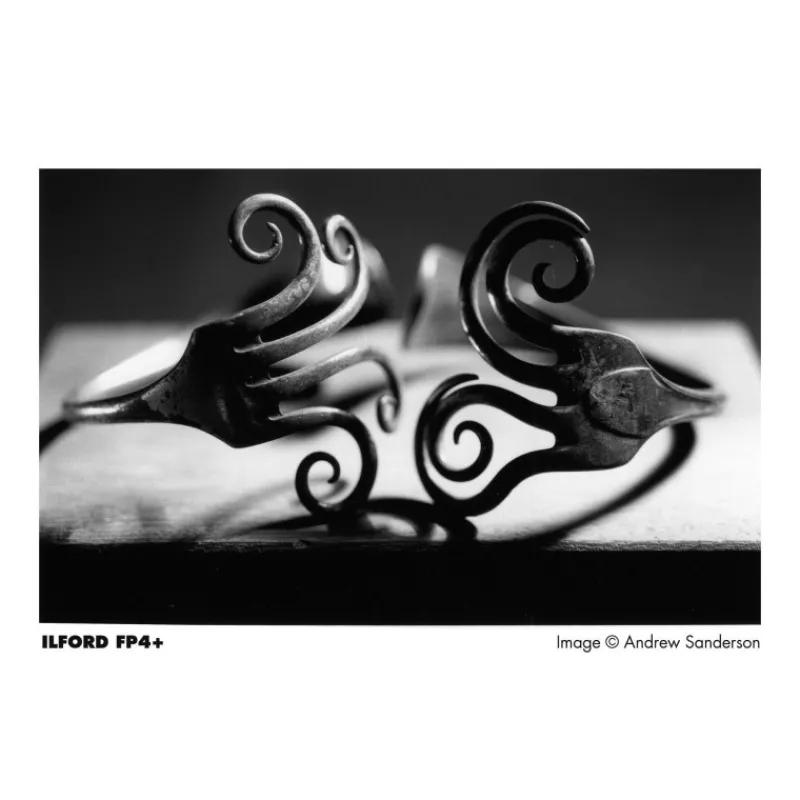 Ilford FP4 PLUS 125 ISO (120 MM) - Panajou