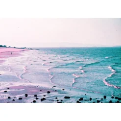 Lomography LomoChrome Purple 2021 Pétillant 35 mm ISO 100–400 36 poses