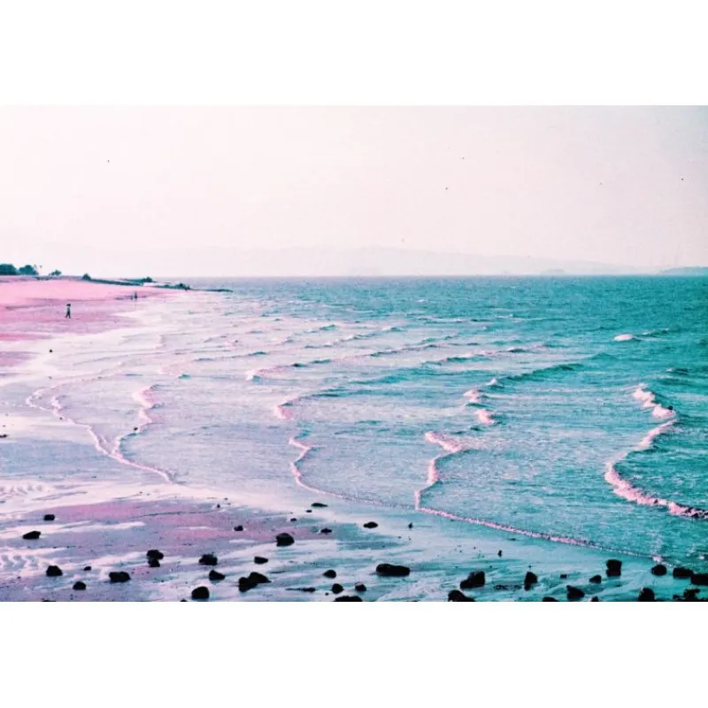 Lomography LomoChrome Purple 2021 Pétillant 35 mm ISO 100–400 36 poses