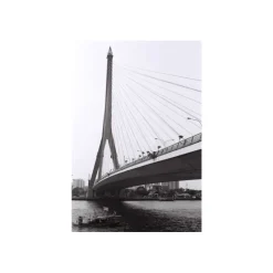 Lomography noir et blanc ISO 13/35MM Babylon KINO FILM 36 poses