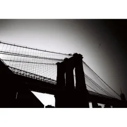 Lomography noir et blanc ISO 8/35MM FANTOME KINO FILM36 poses