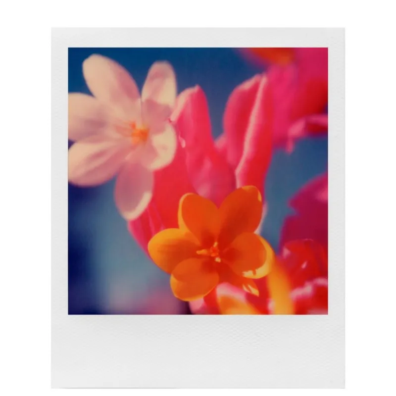 Polaroïd POLAROID 600 FILM DOUBLE PACK COULEUR - Panajou