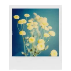 Polaroïd POLAROID SX-70 FILM COULEUR - Panajou