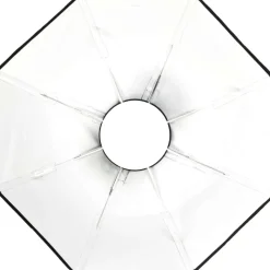 Profoto OCF BEAUTY DISH SILVER 2'